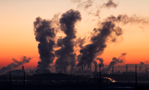 Які екологічні проєкти на Донеччині продовжують жити попри війну, а які довелося згорнути