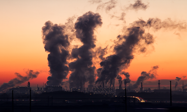 Які екологічні проєкти на Донеччині продовжують жити попри війну, а які довелося згорнути