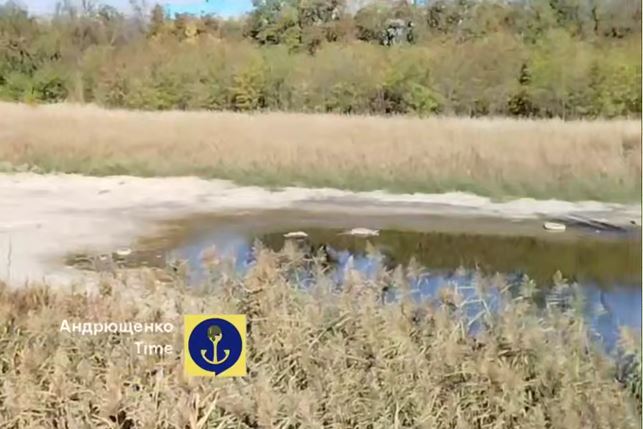 Водойма 254488JPG