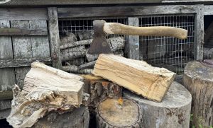 Заготовляють дрова та паливні брикети: жителі прифронтового Хрестища готуються до зими