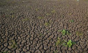 Окупанти визнають катастрофу: Донбас залишився без води