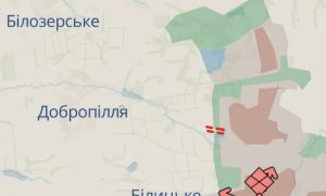 Сили Оборони України мають успіхи на Добропільському напрямку