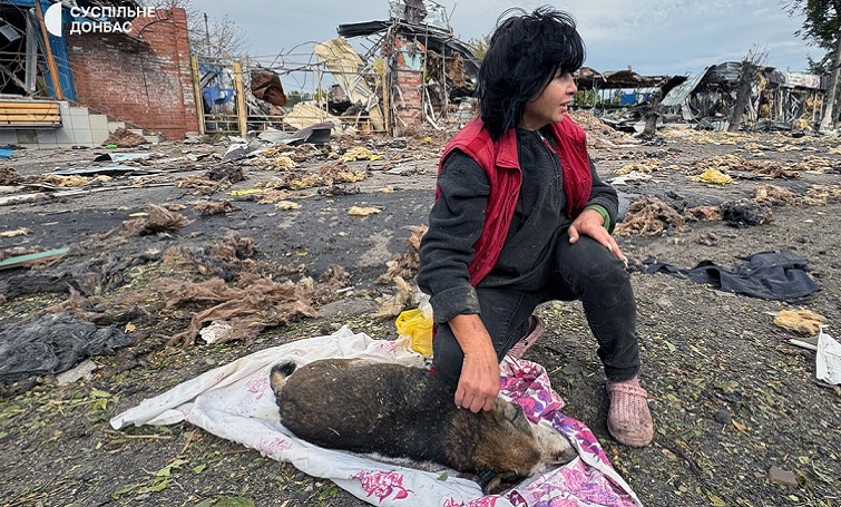 У Святогірську внаслідок сьогоднішнього обстрілу постраждав собачий притулок