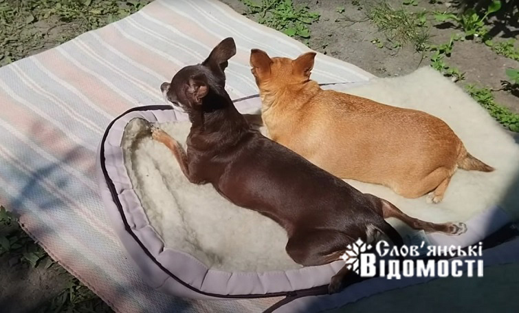 photo 2025 10 16 12 44 23 3