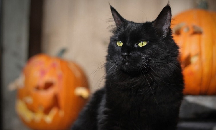 photo 2025 10 28 14 43 16 4