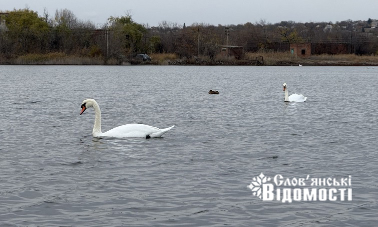 photo 2025 10 29 08 40 50 2