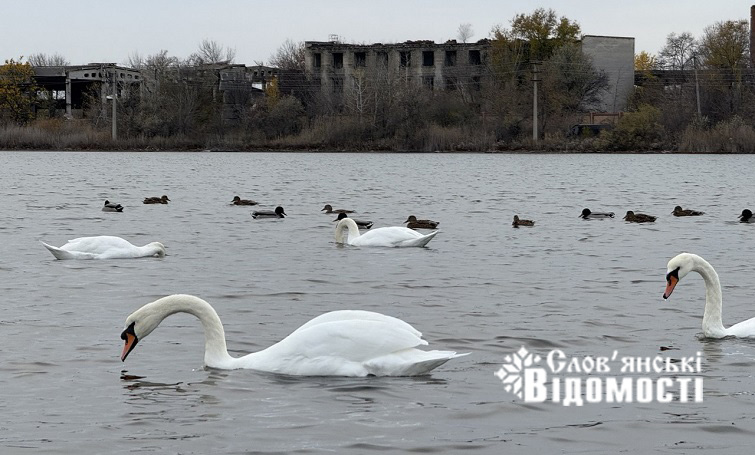 photo 2025 10 29 08 40 50 3