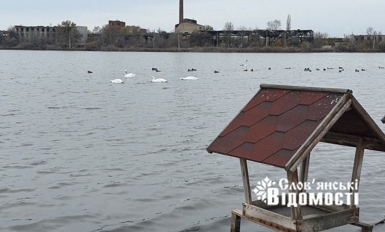 photo 2025 10 29 08 40 50 4