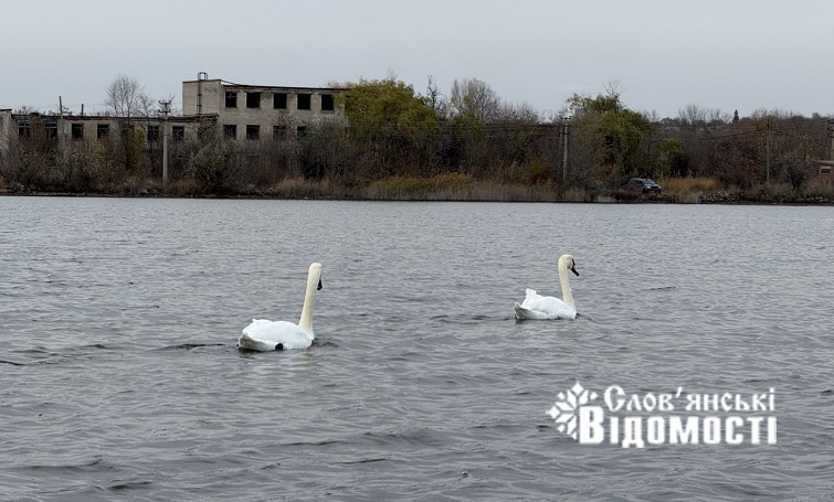 photo 2025 10 29 08 40 50 5