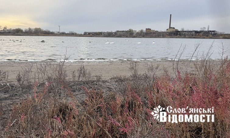 photo 2025 10 29 08 40 50 6