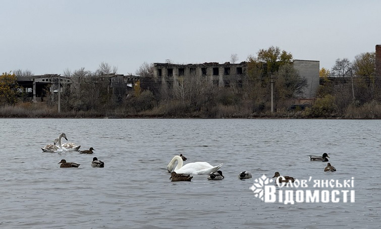 photo 2025 10 29 08 40 50 7