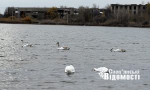 Російські обстріли завдали природним паркам «Слов’янський курорт» та «Святі Гори» збитків на понад 5,3 мільярда гривень