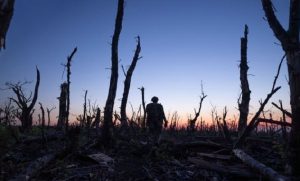 Війна перетворює заповідники Донеччини на руїни: екологічні збитки сягають до 3 трильйонів грн