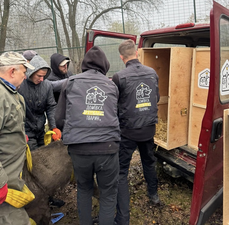 559392382 4237368419884615 2243667116227873037 n