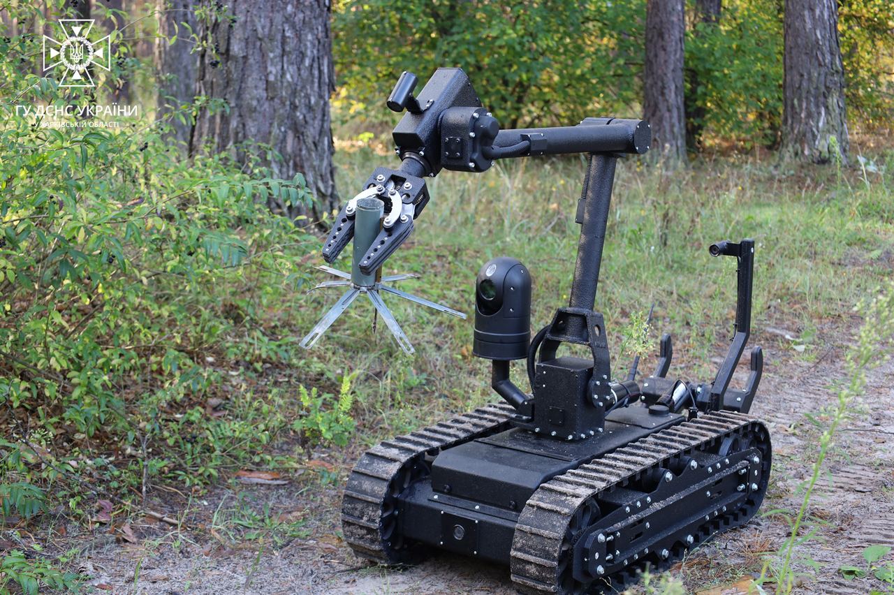 571801342 1262409599260260 2611026936151210683 n