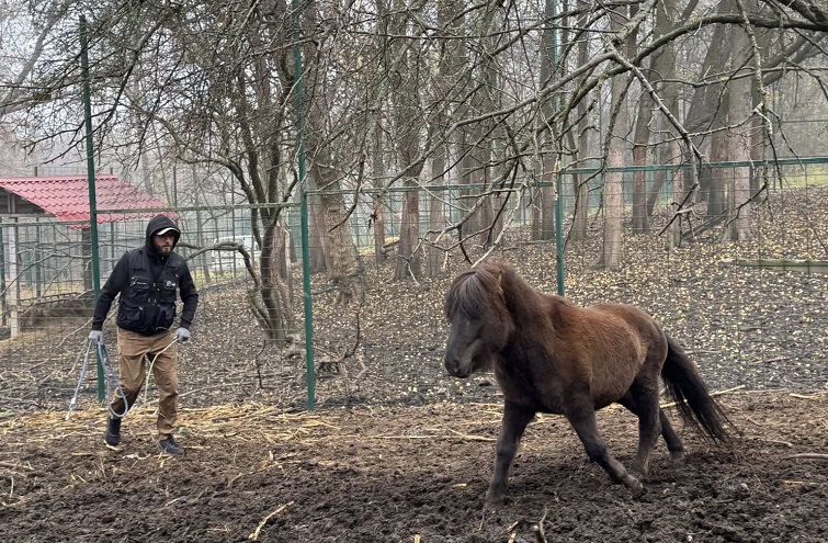 576906453 4237368376551286 231023972353936479 n