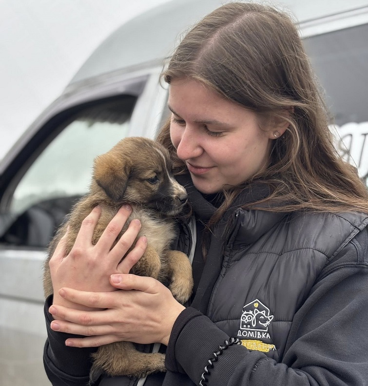 577120977 4237368369884620 4214011149176446469 n