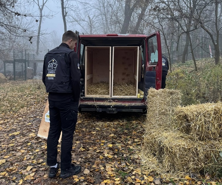 577348521 4237367946551329 2010376926031355243 n