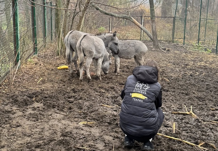 577566460 4237368319884625 9032026161300806330 n