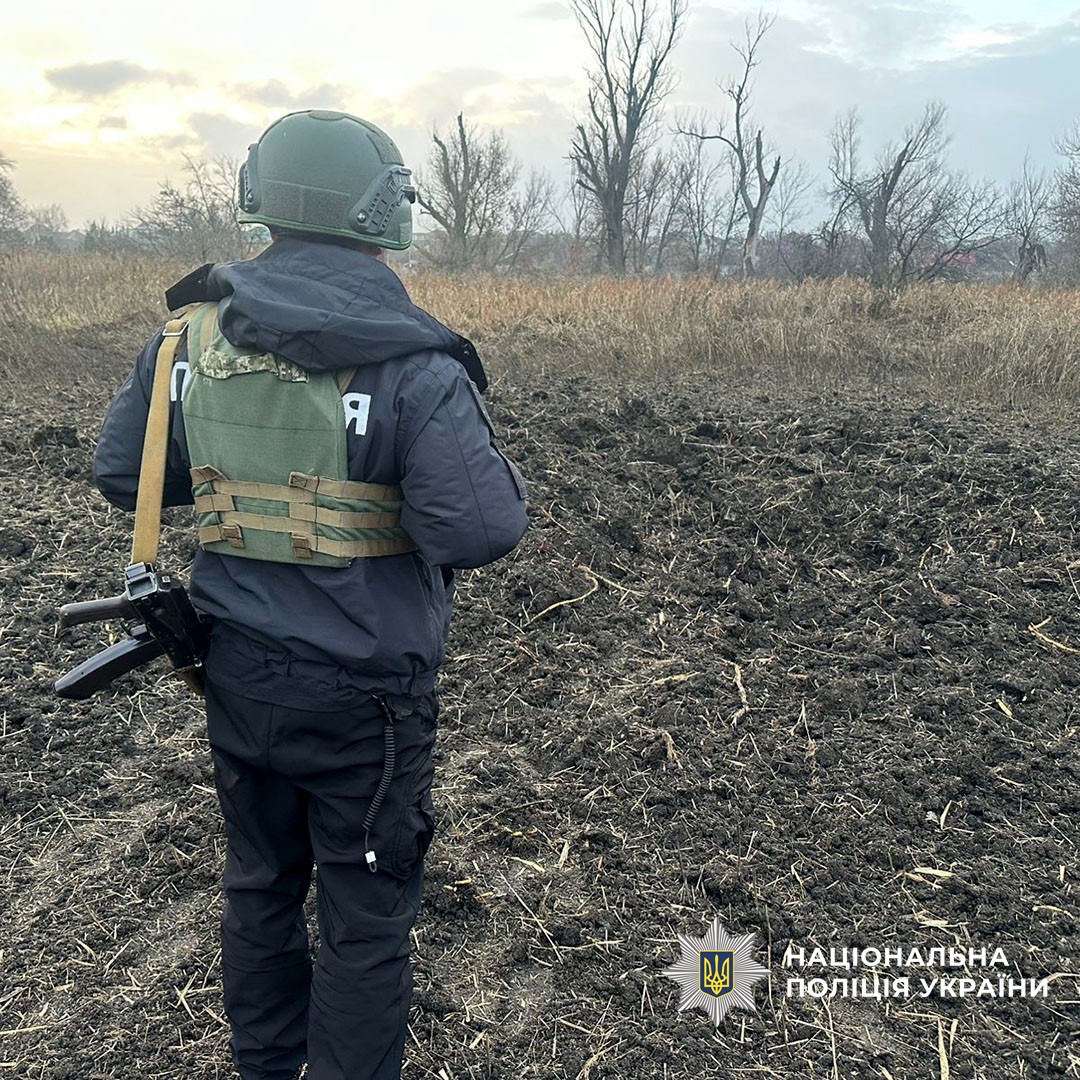 584427515 1137868038499870 3948716114003618802 n