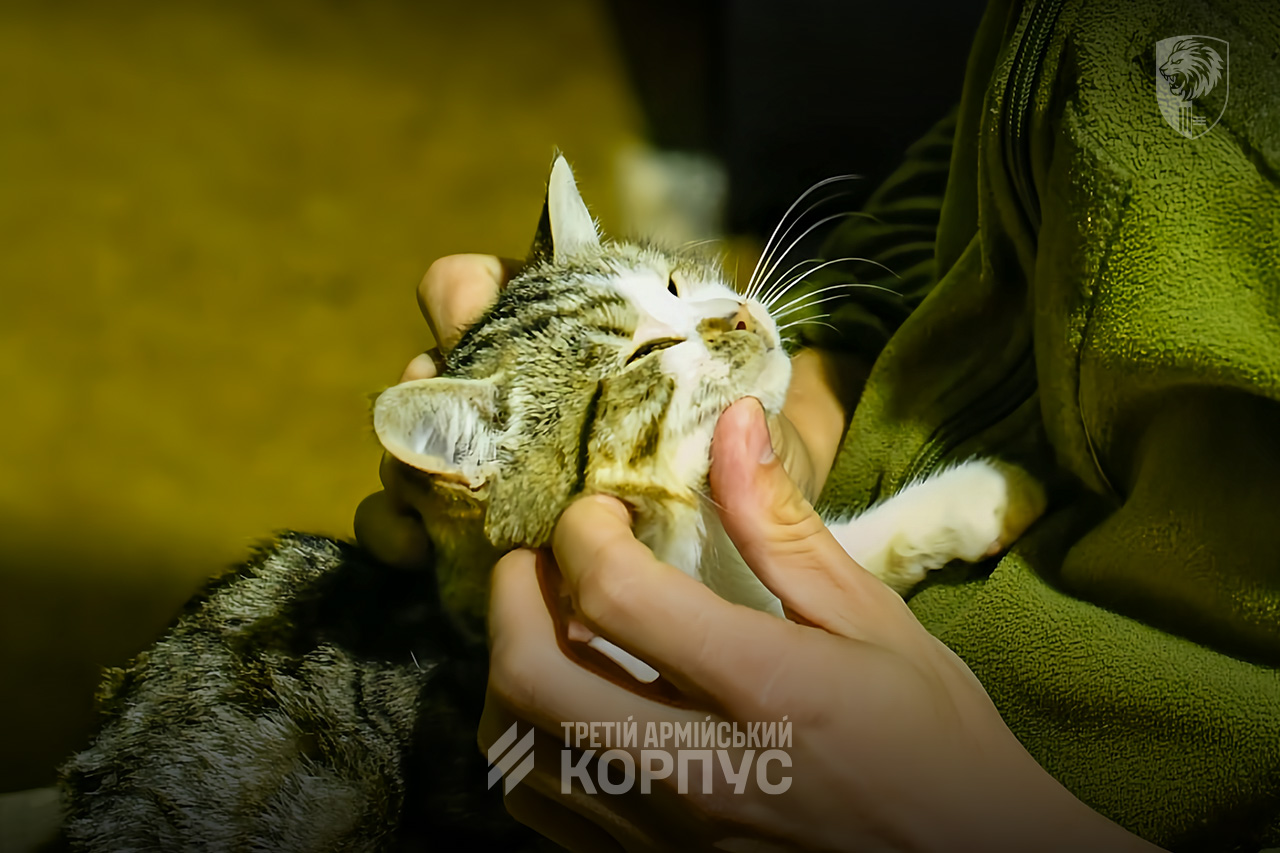 584992333 825425613451047 4284798474438115957 n