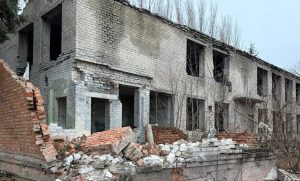 На Донеччині внаслідок російських обстрілів двоє людей поранено, знищено 29 житлових будинків