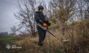 На Донеччині триває розмінування територій: за добу виявлено 29 вибухонебезпечних предметів