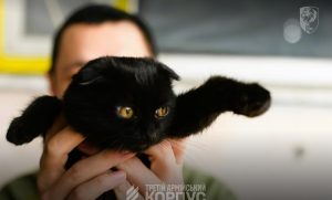 Людяність попри війну (фото)