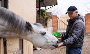 Кінна терапія: психологи ДСНС провели заняття для поранених рятувальників та їх сімей (Фото)