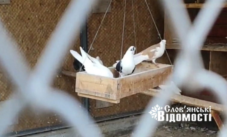 Screenshot 20251115 171753 Telegram