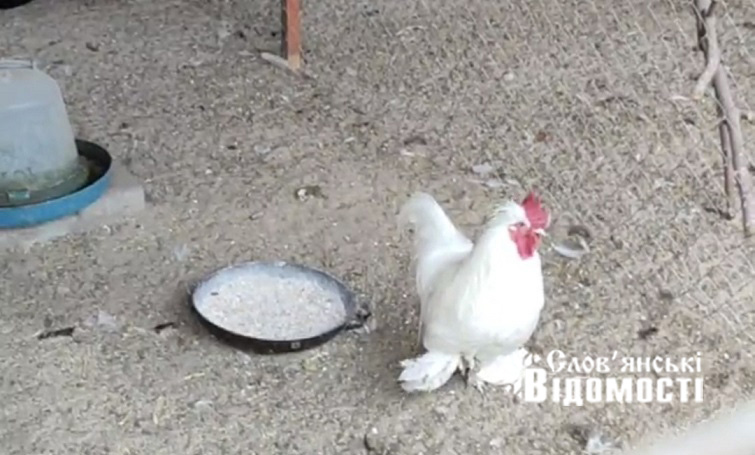 Screenshot 20251115 171804 Telegram