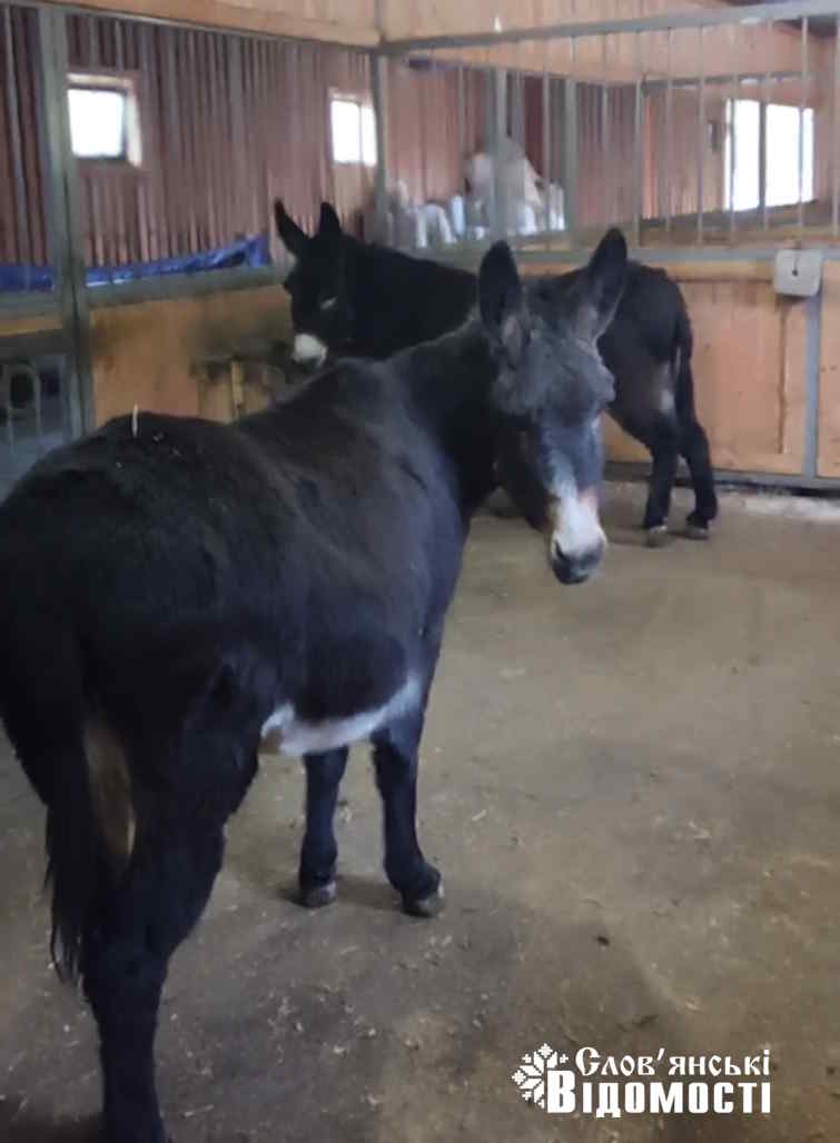 Screenshot 20251115 173549 Telegram