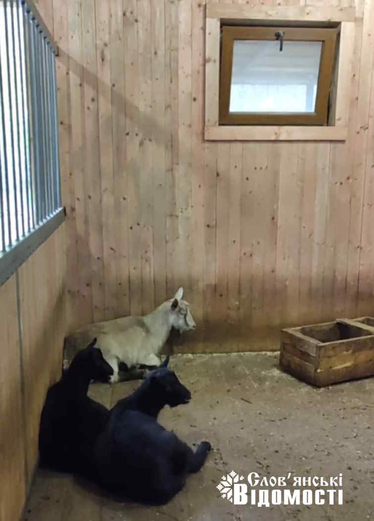 Screenshot 20251115 173556 Telegram