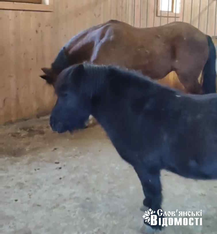 Screenshot 20251115 173655 Telegram