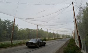 Журналісти “Радіо Свобода” потрапили під атаку російських дронів на Донеччині (відео)