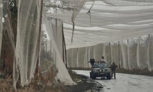 Рибальські сіті з Франції перетворюють на антидроновий захист в Україні