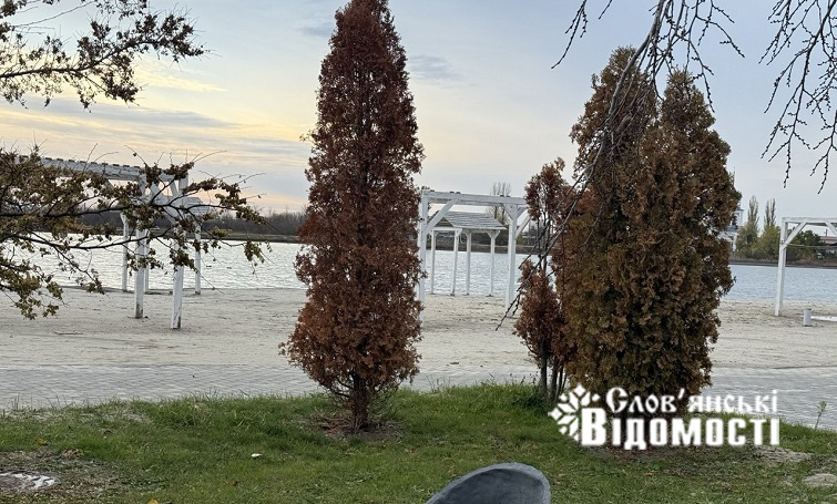 photo 2025 11 13 15 00 50 3