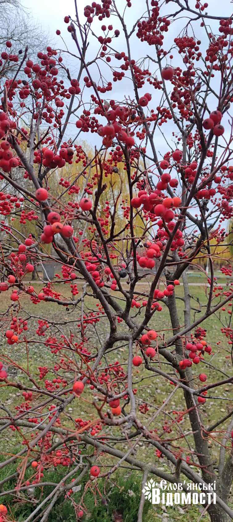 photo 2025 11 14 20 17 56 4