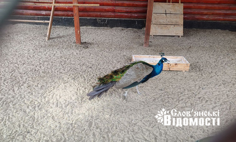 photo 2025 11 14 20 27 49