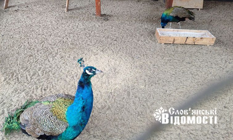 photo 2025 11 14 20 27 50