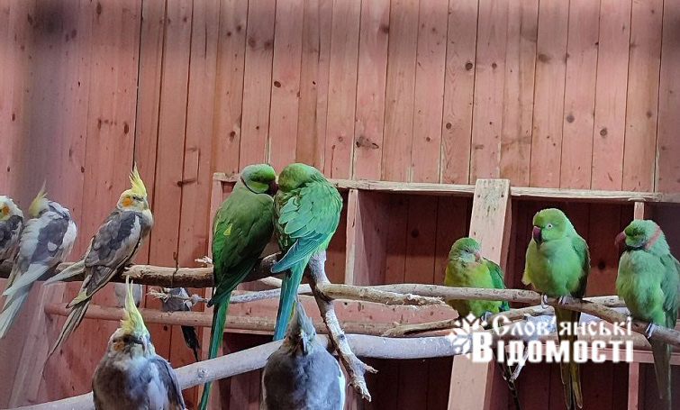 photo 2025 11 14 20 27 50 2