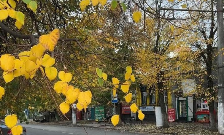 Завтра у Слов’янську буде тепло, до +14