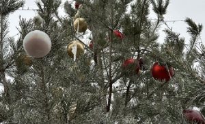 У Слов’янську в парку Шовковичному встановили новорічну ялинку