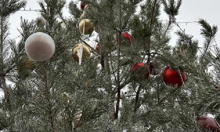 У Слов’янську в парку Шовковичному встановили новорічну ялинку