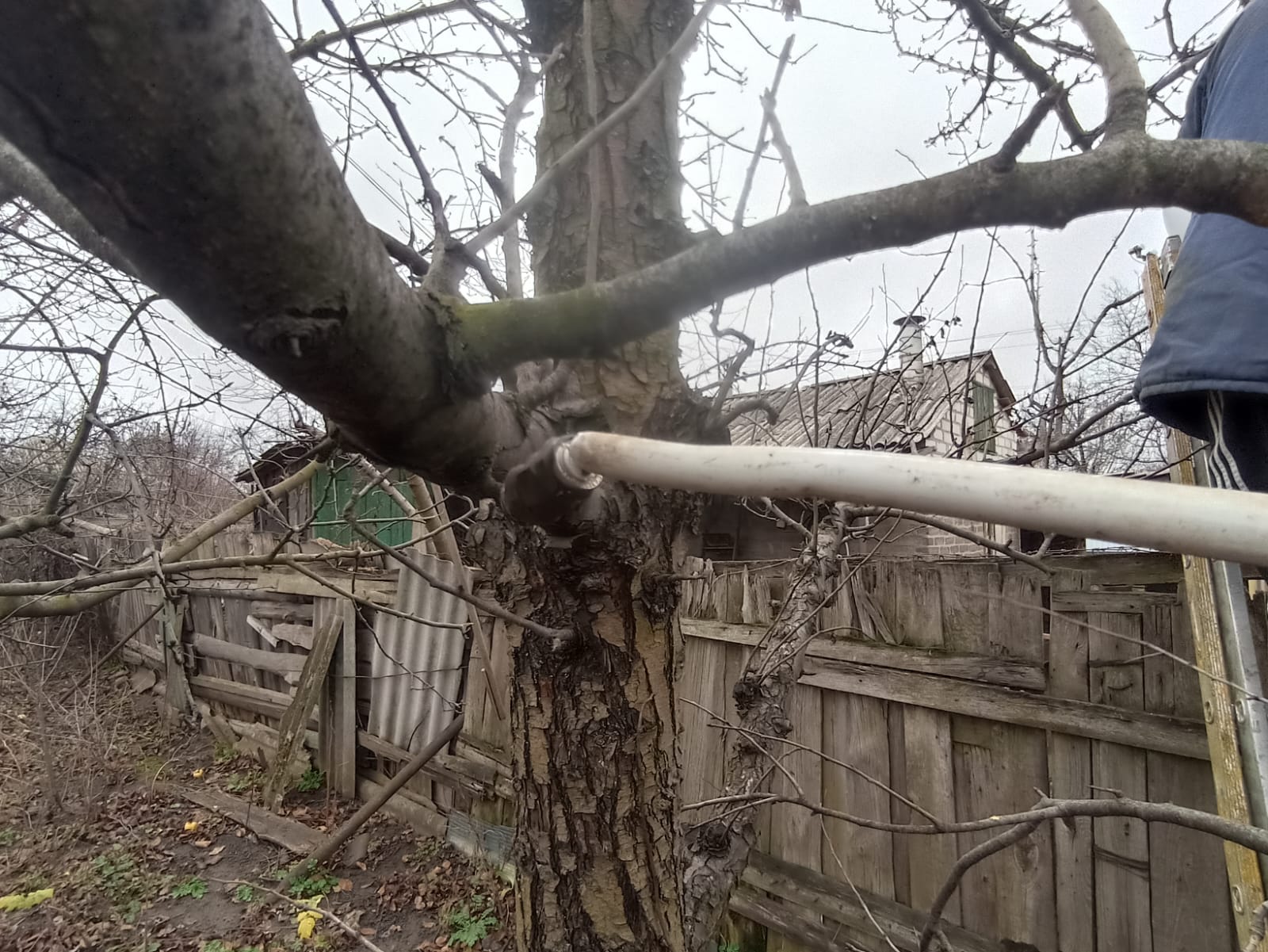 597860047 865292919353480 3732406825598056682 n