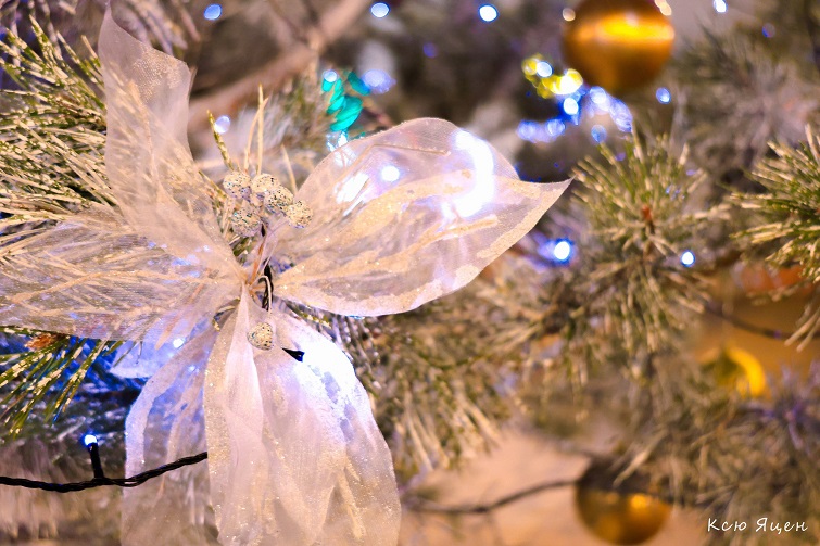 598333457 3794020770730179 5875902610344545092 n