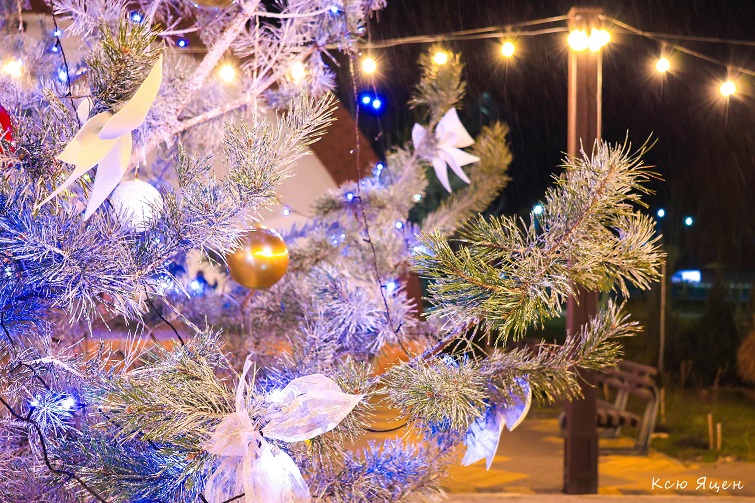 598907700 3794020880730168 701537644575443432 n