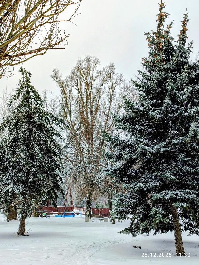 605435088 2259983021174900 757528631103674990 n