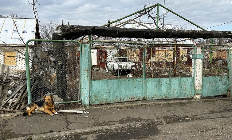 Яка ситуація в Миколаївській громаді