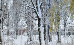 У Слов’янську у вівторок сніжитиме